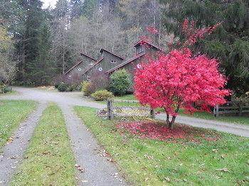 Forest Echoes Cabins Cultus Lake エクステリア 写真